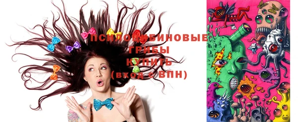 ПСИЛОЦИБИНОВЫЕ ГРИБЫ Пересвет